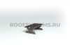 Ступень кровельная для фальцевой кровли Roofsystems Elite Smart фальц, 330х600 мм RAL 8019